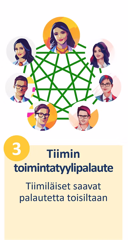 Toimintatyylipalaute 3